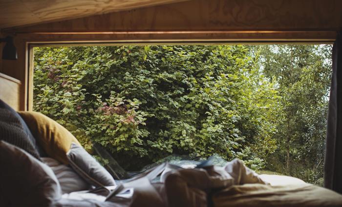 An unmade bed in the foreground (blurred) with a large window in the background with a view to woodland.